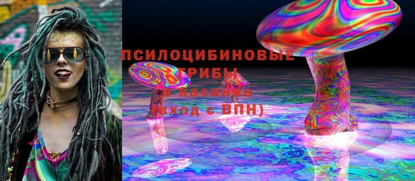 хмурый Вяземский