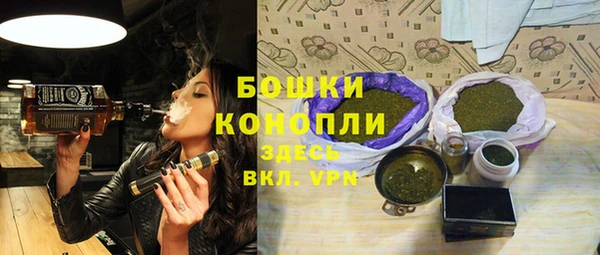 хмурый Вяземский
