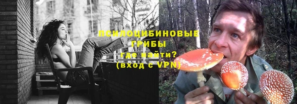 хмурый Вяземский